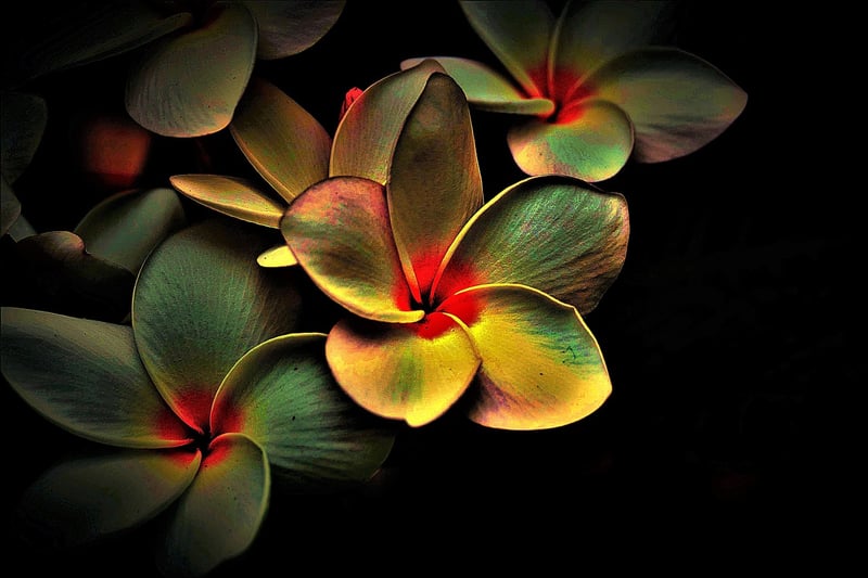 Abstract Time Image